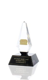Retailer Web Site of the Year 2011